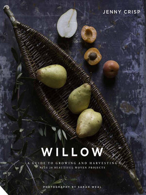 Willow - ebook